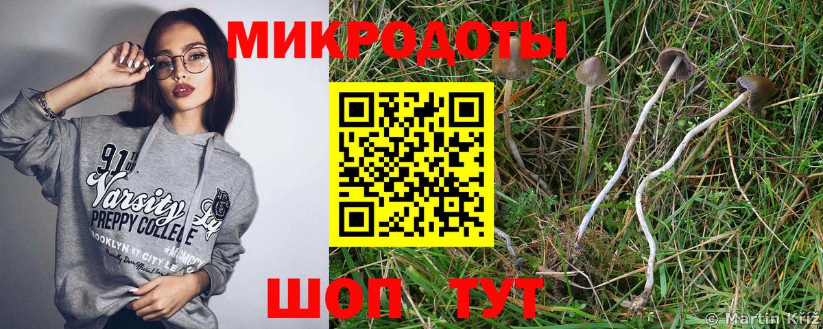 Галлюциногенные грибы прущие грибы Боровичи