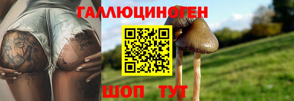 Боровичи  Галлюциногенные грибы мицелий  Вход с VPN 
